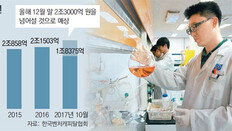 [청년드림]올 벤처 투자 2조3000억원 ‘역대 최대’！ ICT-유통 강세… 바이오-의약 다소 주춤