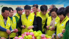 돼지저금통 513개 기부한 섬 주민들