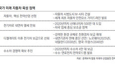 갈길 먼 수소차 육성… 올해 보조금 130대뿐