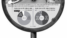 보험 가입땐 책임 면하는 ‘사고자 보호법’ 세계 유일