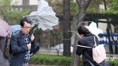 우산도 두 손 든 봄비의 심술