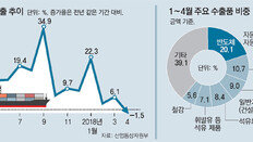 “수출 한계로 경쟁력 경고등” vs “기저효과에 일시적 현상”