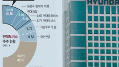 정부개혁 수용한 현대車, 단기수익 노린 헤지펀드 공격에 타격