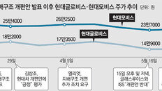 주가 상승 기대했던 개미들 혼란