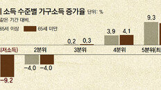 “소득감소, 노인 증가 때문”이라더니… 65세미만 수입 더 줄었다