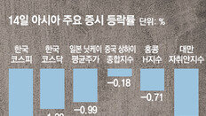 신흥국 머니무브 확산땐 한국도 ‘도미노 쇼크’ 우려