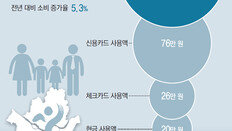 서울 직장인, 월급 75%인 179만원 소비… 시민 평균은 143만원