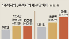 3주택자 ‘타깃 증세’… 합산 33억때 종부세 1558만원→2648만원