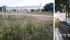 “아기 울음소리 끊긴지 오래… 교사들은 학생 보내달라 통사정”
