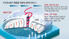 열받은 지구… 한반도에 느리고 강한 ‘슈퍼 라르고 태풍’이 온다