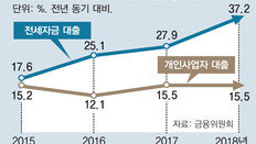 전세대출 받아 집 샀는지 집중 조사