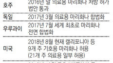 합법화 날개 달자 돈 몰려드는 마리화나