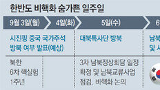 6개월 전보다 험난해진 방북 길… 北-美 중재역할 분수령