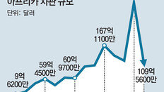 稅혜택 주며 등록 유도하더니… 집값 계속 뛰자 정책수정 나서