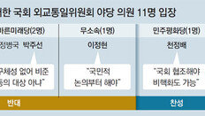 “판문점 선언, 국회비준 대상 아니다”… 野 외통위원 11명중 10명 비준 반대