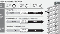 분양권은 주택인지 아닌지… 전문가들도 헷갈리는 부동산규제