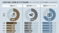 단독주택 시세반영 절반수준… 강남 64억 주택 공시가는 16억