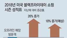 美 저소득층 닫혔던 지갑 10년만에 열렸다… ‘블프’쇼핑 열기