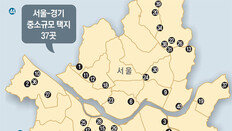 서울 강남-수색 등 국공유지 활용하고 용적률 높여 5만채 공급