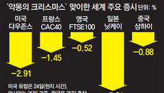 글로벌 증시 ‘크리스마스 악몽’