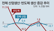 반도체 찬바람 불자… 생산도 투자도 꽁꽁