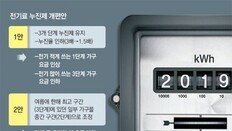 폭염 때마다 반복되는 ‘전기료 폭탄’ 제거… 한전 수입은 유지