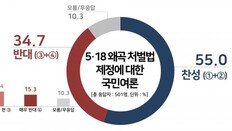 ‘5·18 왜곡 처벌법’ 제정 여론조사…찬성 55% vs 반대 35%