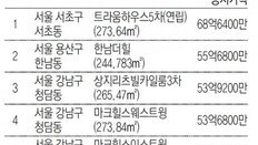 서초 ‘트라움하우스 5차’ 69억… 14년째 1위