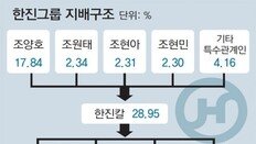 ‘3세 경영체제’ 2000억 상속세가 관건… 한진그룹 경영권 영향은