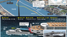 길이 135m 크루즈선이 27m짜리 유람선 덮쳐… 7초만에 침몰
