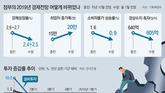 투자유도한다며 1년짜리 찔끔 감세… 2019 하반기 경제정책방향