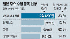 日 1112개 품목 전략물자 분류… 디스플레이-미래차도 타격 우려