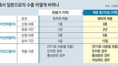 백색국가서 日제외… 내달초부터 적용