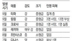 올해 벌써 6번째 태풍… 43년만에 최다