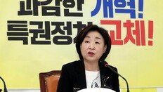 심상정 이어 손학규-박지원도 “의원수 확대”… 與 공식 반대 속 일부 의원 “고민 해봐야”