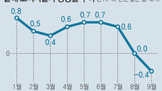 KDI “低물가 자체가 경제에 악영향”