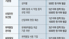 “CEO되면 2205개 처벌조항 예비 범법자 되는 셈”