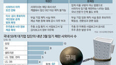 [단독]“전문성 갖춘 사외이사 찾기 힘든데… 선진국은 임기제한 유례없어”