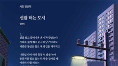 [신춘문예 2020/시조 당선작]선잠 터는 도시
