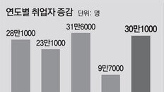 지난해 취업자 30만명 증가… 40대 고용은 28년만에 최악