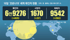 한국, 전세기 대신 군용기 거론… 美-加도 ‘크루즈선 탈출’ 시작