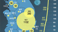 국내 확진자 폭증에… 훈련축소 주장했던 美, 무기한 연기 급선회