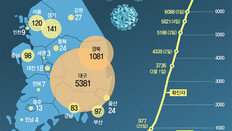 8일 신규확진 272명… 11일만에 300명 미만