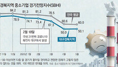 “지역거점 살려야 전체 경제 회복세”