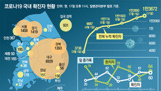 해외유입 확진자 한달새 4배 급증… 외국인 비중 점점 늘어 73%