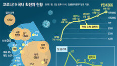 실외는 안전? 야영객 절반 감염… 여름에 감소? 美 되레 감염 더 늘어