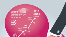 5000만원 빌려도 月이자 9만원… 주담대 대신 신용대출로 ‘영끌’