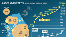 “더블링 발생땐 의료역량 감당못할수도… 선제적 3단계 조치를”