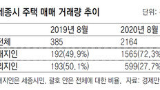 행정수도 이전설에… 세종시 주택거래량 급증