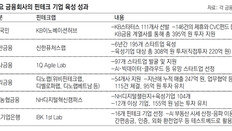 금융사 핀테크랩서 미래 ‘빅테크’ 쑥쑥